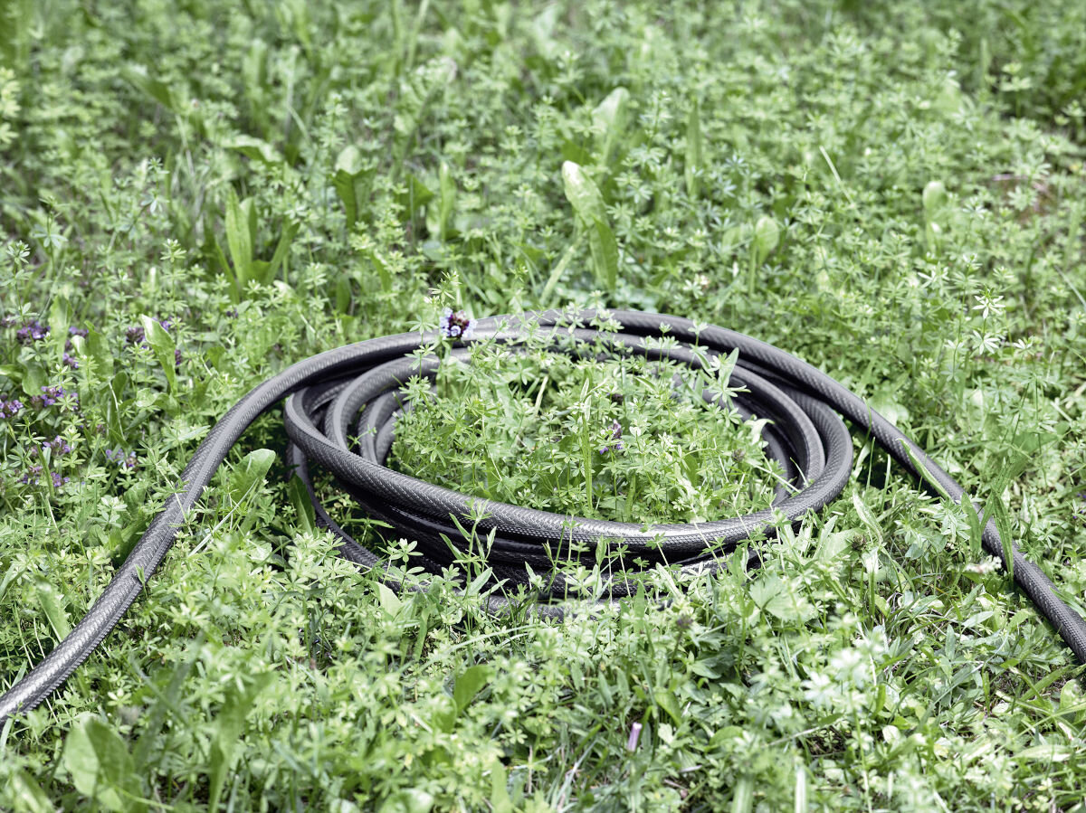 Wąż ogrodowy KARCHER PrimoFlex Premium 1/2 50 m 2.645-325.0, temperatura, pogoda, otoczenie, właściwości, sprzęt, w tle trawnik, po środku lekko zwinięty wąż