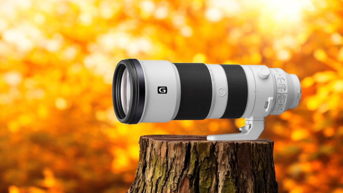 SONY FE 200-600 mm