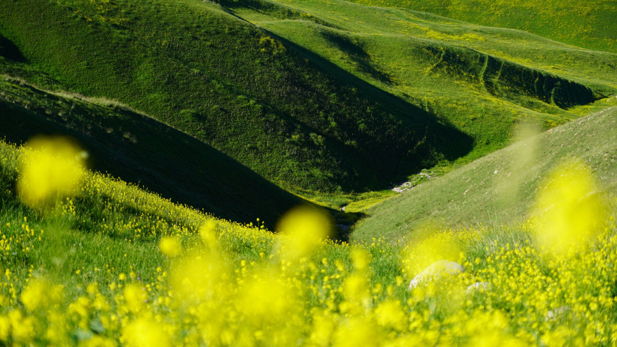 SONY E 16-55 mm odporna na kurz i wilgoć trudnych warunkach plenerowych fotografowanie filmowanie