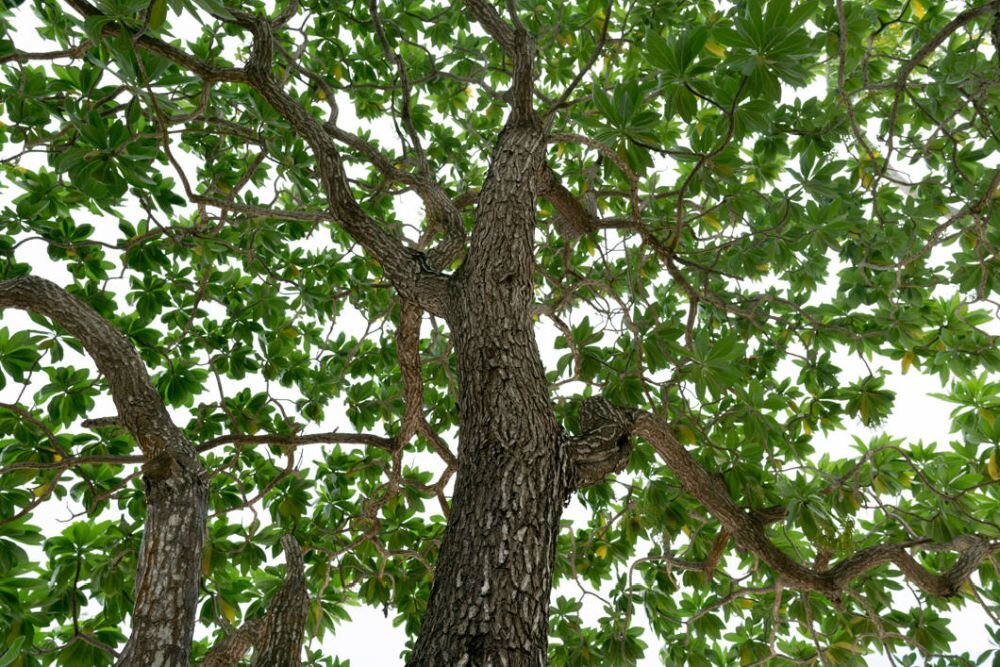 Obiektyw TAMRON 24 mm f-2.8 Di III OSD M1:2    ogniskowa przysłona ostrość pierścienie optyka soczewki powłoki montaż bagnet światło jasność zoom filtry waga silnik stabilizacja