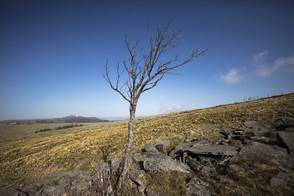 Obiektyw SIGMA A 14 mm f-1.8 DG HSM kąt