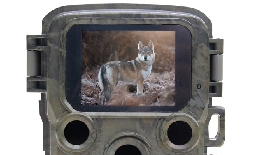 Kamera monitorująca Braun Scouting Cam Black500 mini baterie alkaliczne AA uchwyt do drzewa pasek na statywie