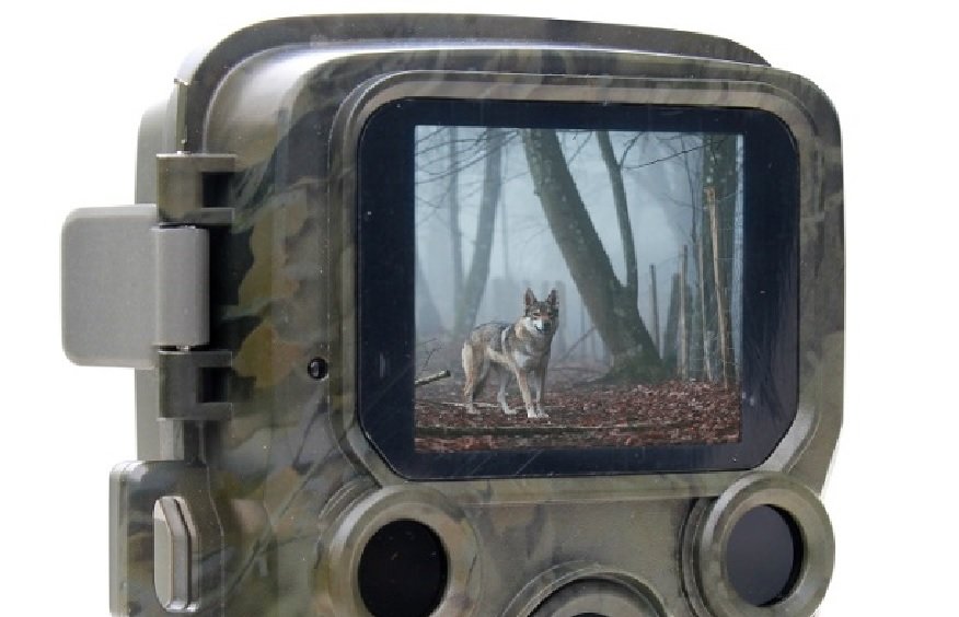 Kamera monitorująca Braun Scouting Cam Black500 mini fotografowanie dzikiej przyrody 6 miesięcy temperatura pracy zabezpieczona hasłem