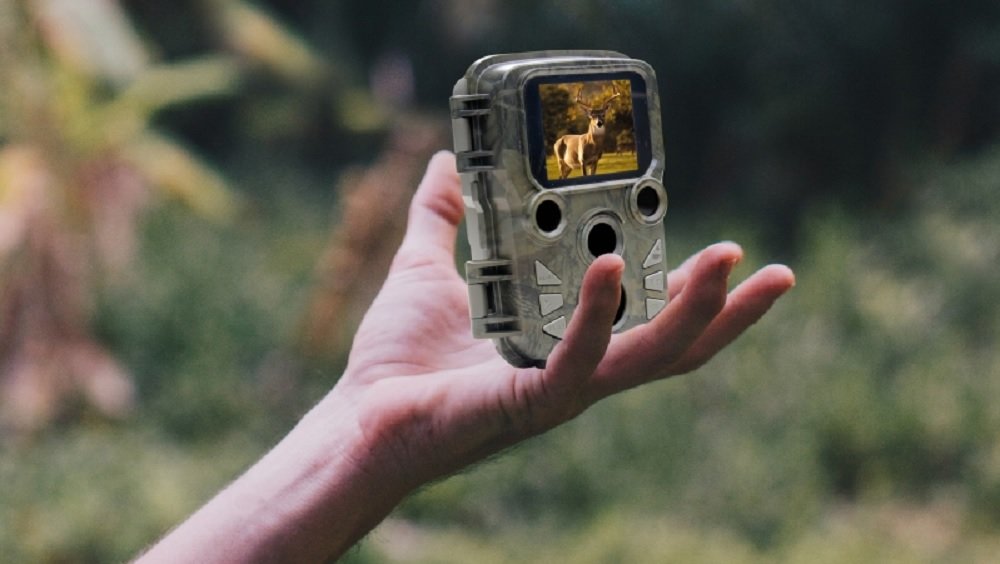 Kamera monitorująca Braun Scouting Cam Black500 mini teren łowiecki gatunki zwierząt dzikie zwierzęta