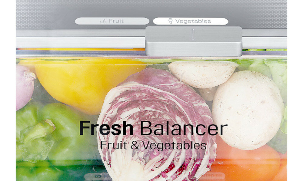 LG GBB72SWVFN Nofrost Biała FRESHBalancer™