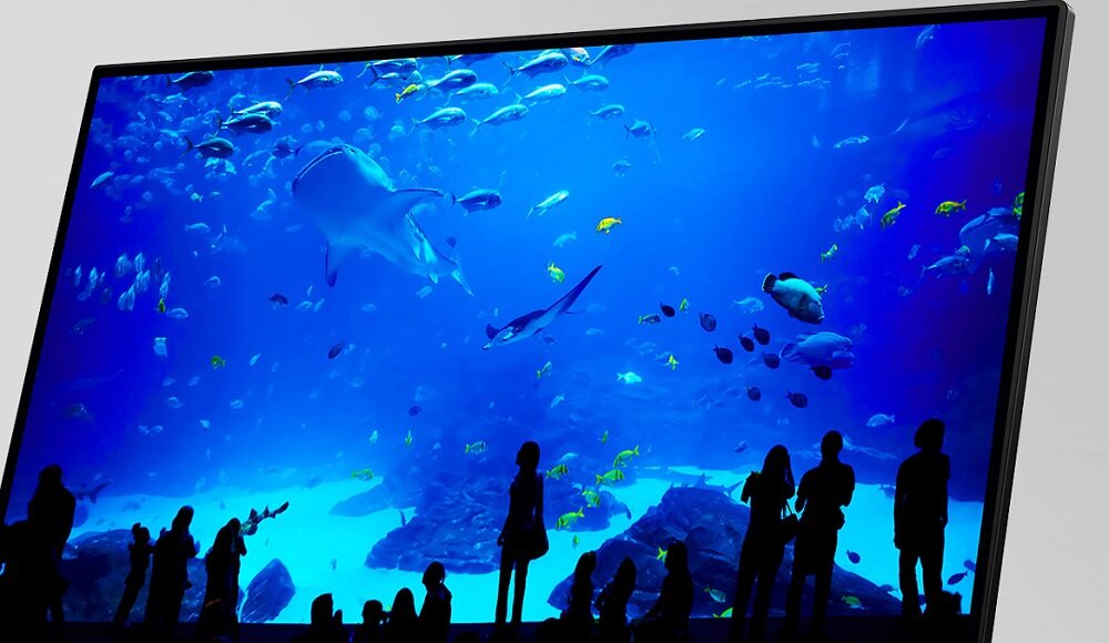Monitor LENOVO Q27Q-10 - Rozdzielczosc QHD