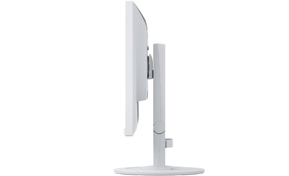 Monitor LED EIZO EV2460 - matowa powłoka matrycy komfor użytkowania brak efektu lustra