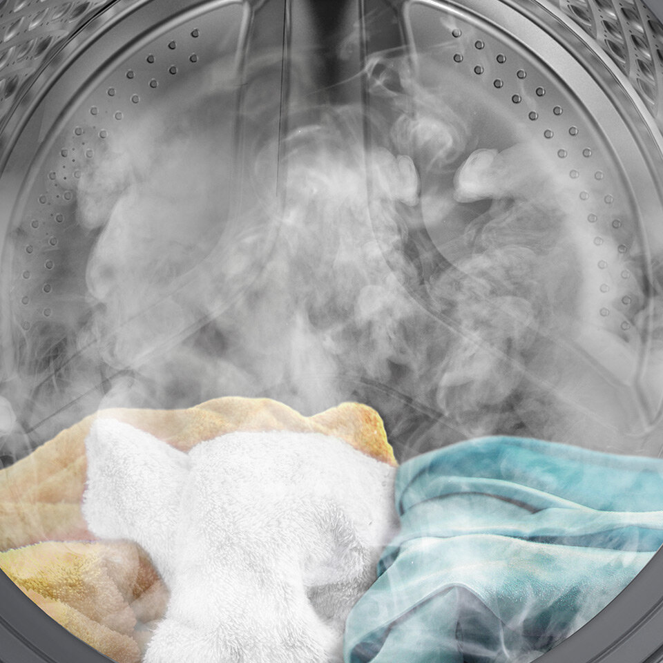 program z para program z para