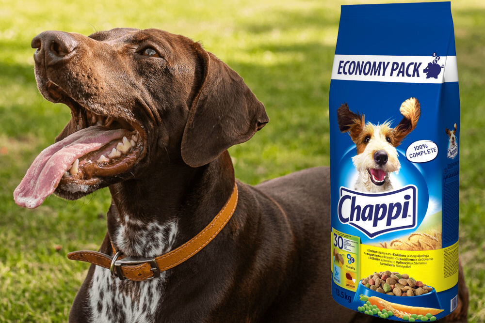 Karma dla psa CHAPPI™ Kurczak z warzywami 13,5 kg naturalne składniki