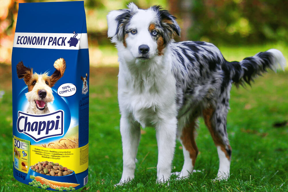 Karma dla psa CHAPPI™ Kurczak z warzywami 13,5 kg dawkowanie analiza sklad