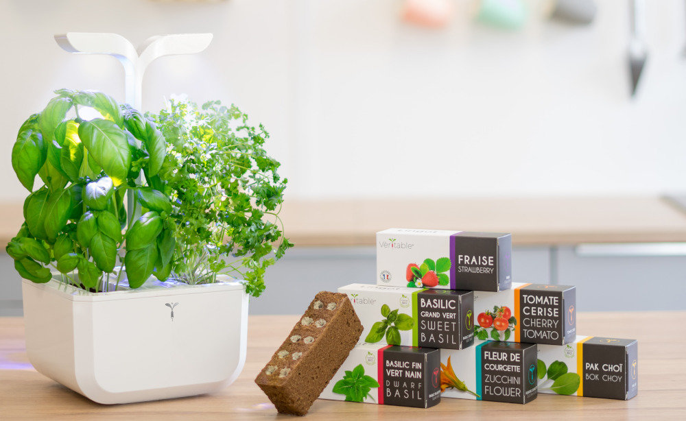 Domowy osuszacz powietrza DD8L JUNIOR