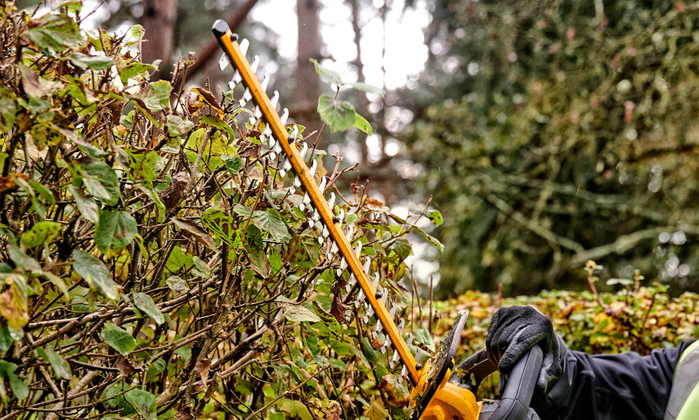 Nożyce do żywopłotu DEWALT DCMHT563P1 18V akumulatorowe ściana żywopłotu osoba przycina żywopłot zbliżenie na ostrza ostrze o długości 55 cm odstęp między ostrzami 25 mm szybkie przycinanie cienkich i gęstszych gałęzi falista konstrukcja ostrza stabilizuje pędy równe linie cięcia i estetyczny efekt końcowy