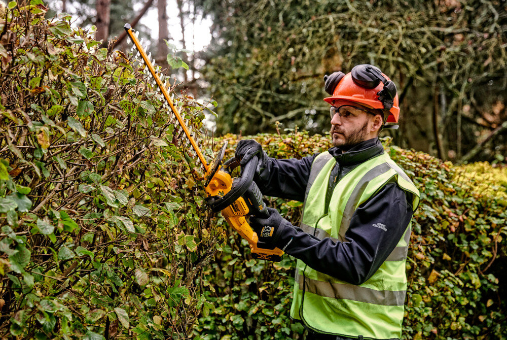 Nożyce do żywopłotu DEWALT DCMHT563N-XJ 18V akumulatorowe ogród osoba przycina żywopłot w tle trawnik drzewa krzewy niebo pielęgnacja zieleni zadbany ogród sprawne przycinanie żywopłotów krzewów kształtowanie ogrodu