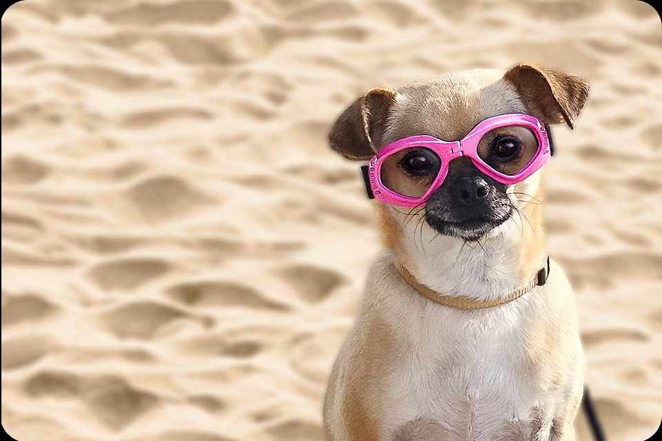 phpNRLnWm samsung-efekt-bokeh-5947 phpNRLnWm samsung-efekt-bokeh-5947