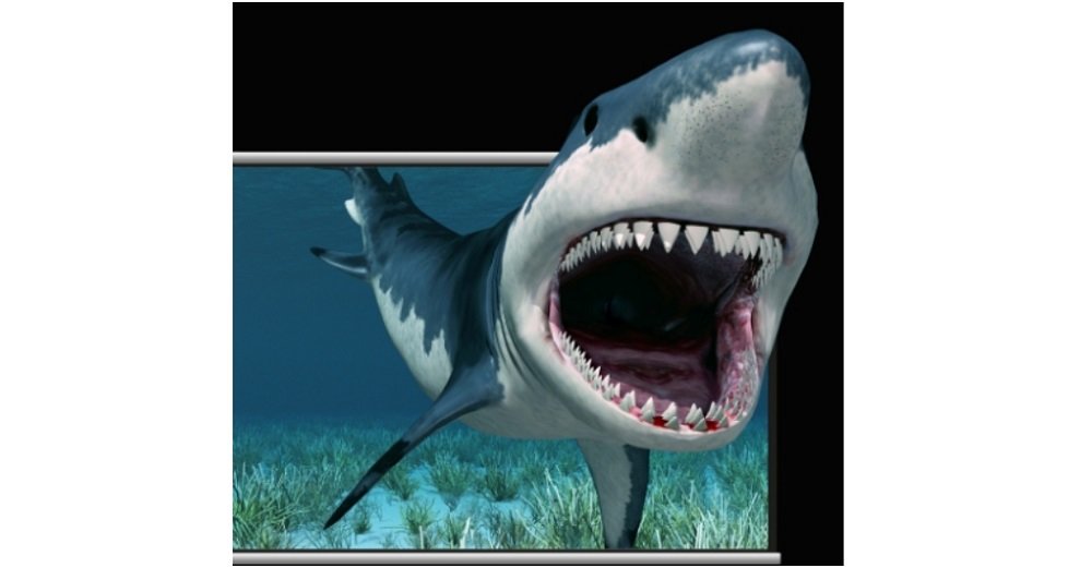 Projektor ACER P1355W rozdzielczość HDMI 3D