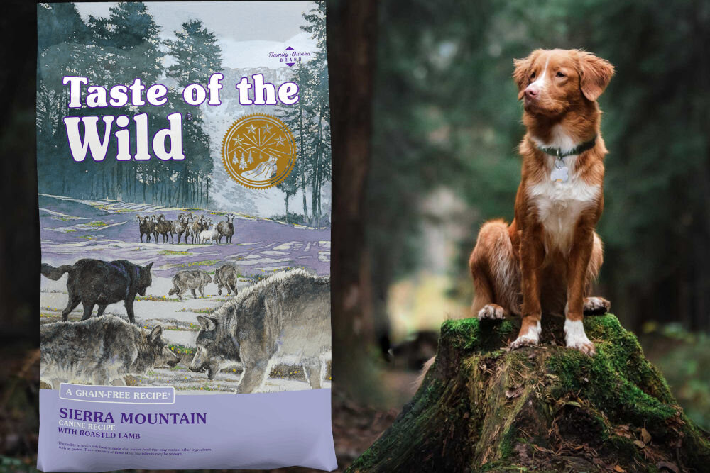 Karma dla psa TASTE OF THE WILD Sierra Mountain Jagnięcina 12,2 kg naturalne składniki