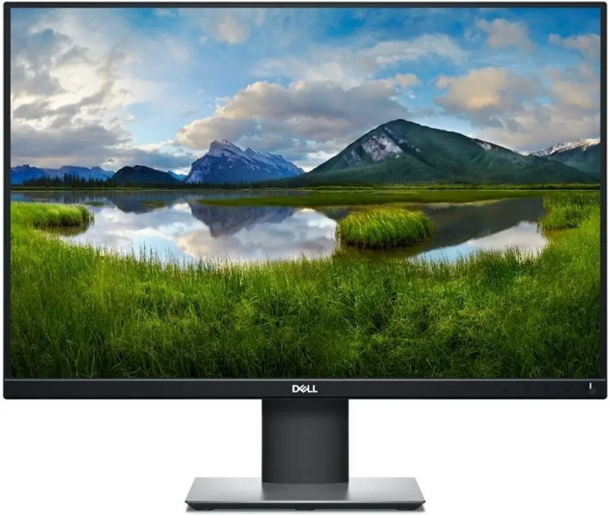 Monitor DELL P2421 - Monitor 