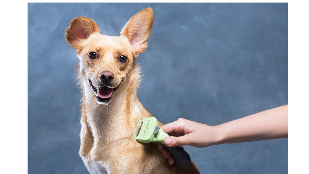 SzczotkadlapsaFURMINATORT691653Czarnozielony-masazer 