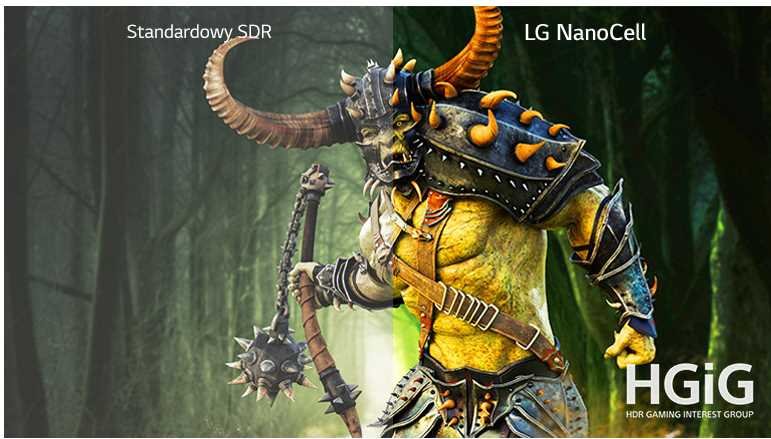 Telewizor LG LED 55NANO813NA - HGiG