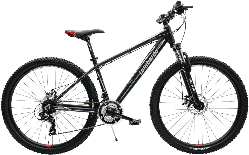 Rower górski LOMBARDO Sestriere 270 M15 Srebrno-czarny wyglad front bok