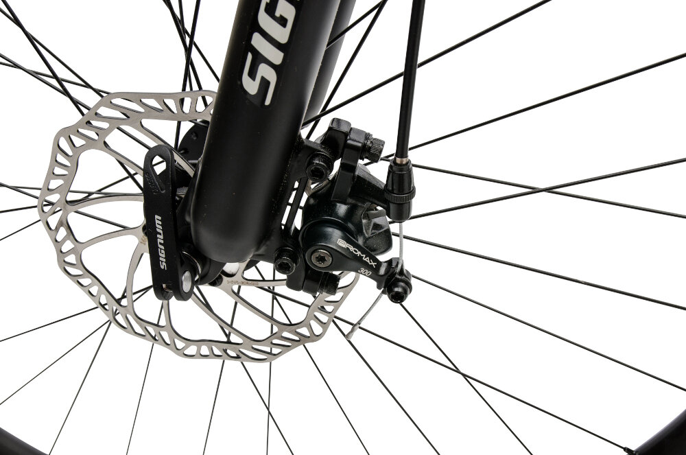 Rower górski LOMBARDO Sestriere 270 M15 Srebrno-czarny - HAMULCE