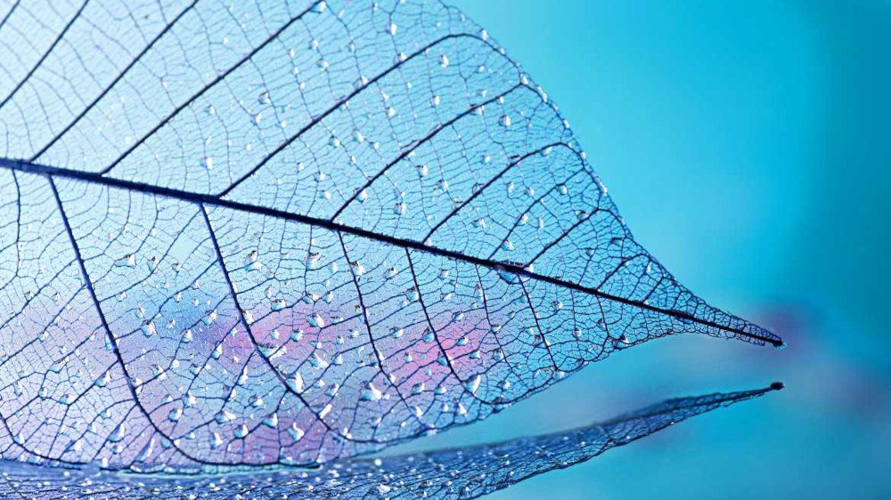 Telewizor HISENSE A7300F  - 4K