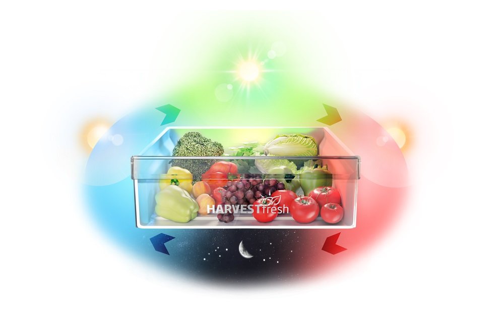 Lodówka BEKO BCNA275E32SN HarvestFresh