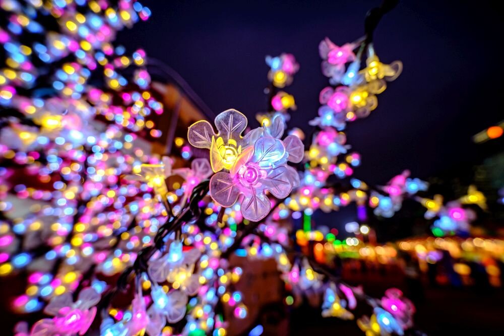 Obiektyw Laowa C&D-Dreamer 9 mm f/2,8 zdjęcie przykładowe