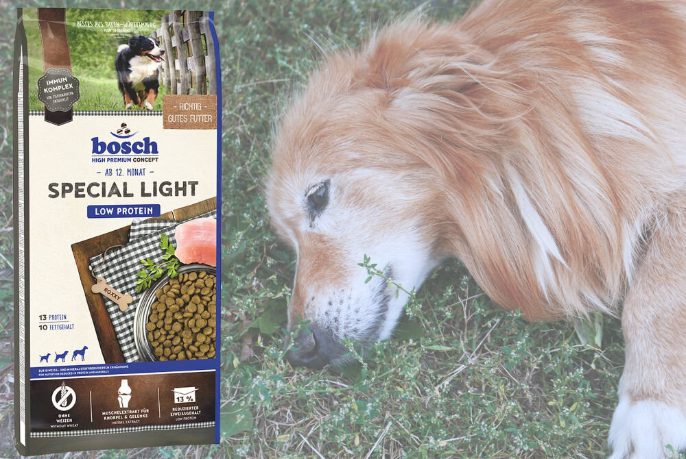 Karma dla psa BOSCH Special Light 12,5 kg dodatki witaminy minerały