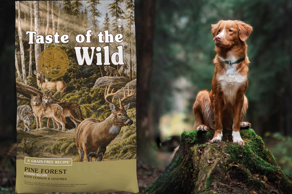 Karma dla psa TASTE OF THE WILD Pine Forest 12,2 kg naturalne składniki