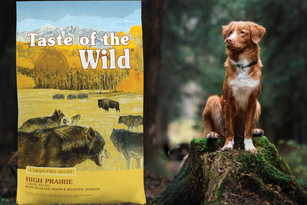 Karma dla psa TASTE OF THE WILD High Prairie Bizon i dziczyzna 5,6 kg naturalne składniki