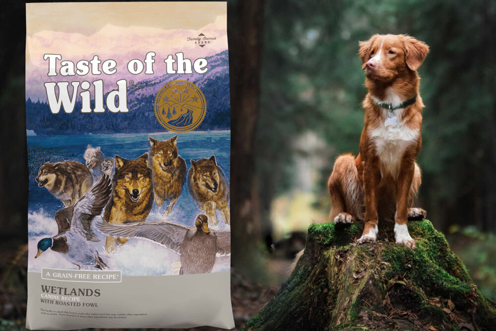 Karma dla psa TASTE OF THE WILD Wetlands Kaczka 2 kg naturalne składniki