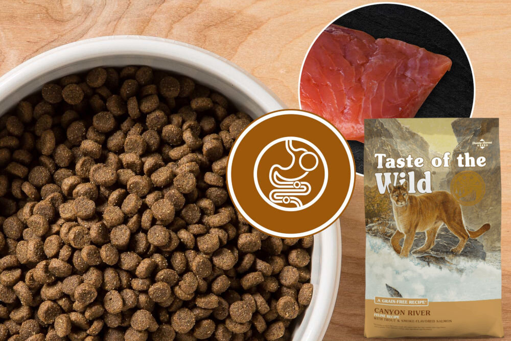 Karma dla kota TASTE OF THE WILD Canyon River Łosoś i pstrąg 6,6 kg dawkowanie analiza sklad