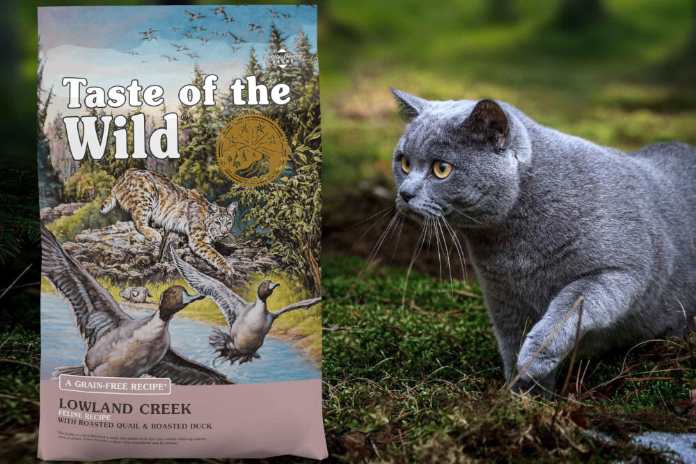 Karma dla kota TASTE OF THE WILD Lowland Creek 2 kg naturalne składniki