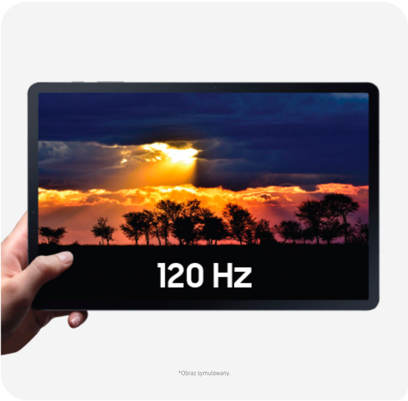 phphaBMSc 120hz obrazek2