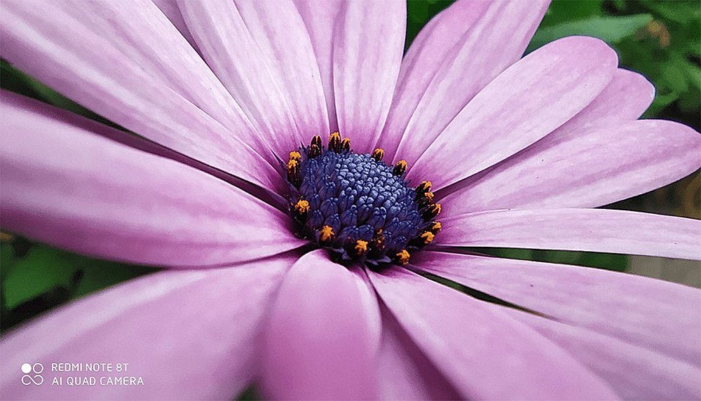 SMARTFON XIAOMI REDMI NOTE 8T makro zbliżenia obiektyw closeup