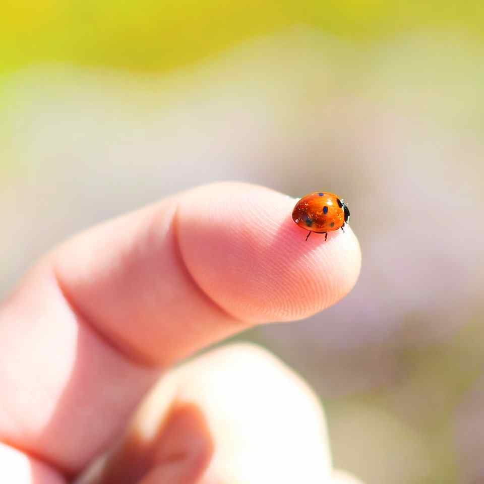 Male jest piekne Male jest piekne