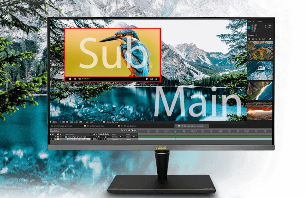 Monitor ASUS ProArt PA32UCX-PK 27 3840x2160px IPS profile uzytkownika