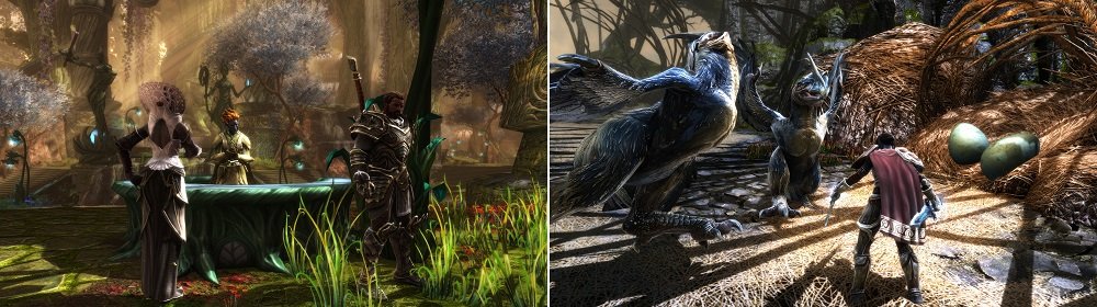 Kingdoms of Amalur Re-Reckoning - Edycja Kolekcjonerska Gra PS4 screen z gry postać