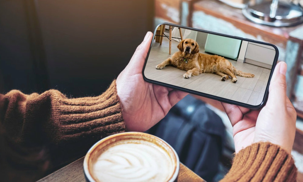 Kamera HAMA 1080p PIES