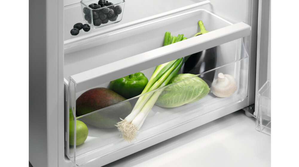 Lodówka ZANUSSI ZEAN11FW0 Biała pojemność półki świeżość