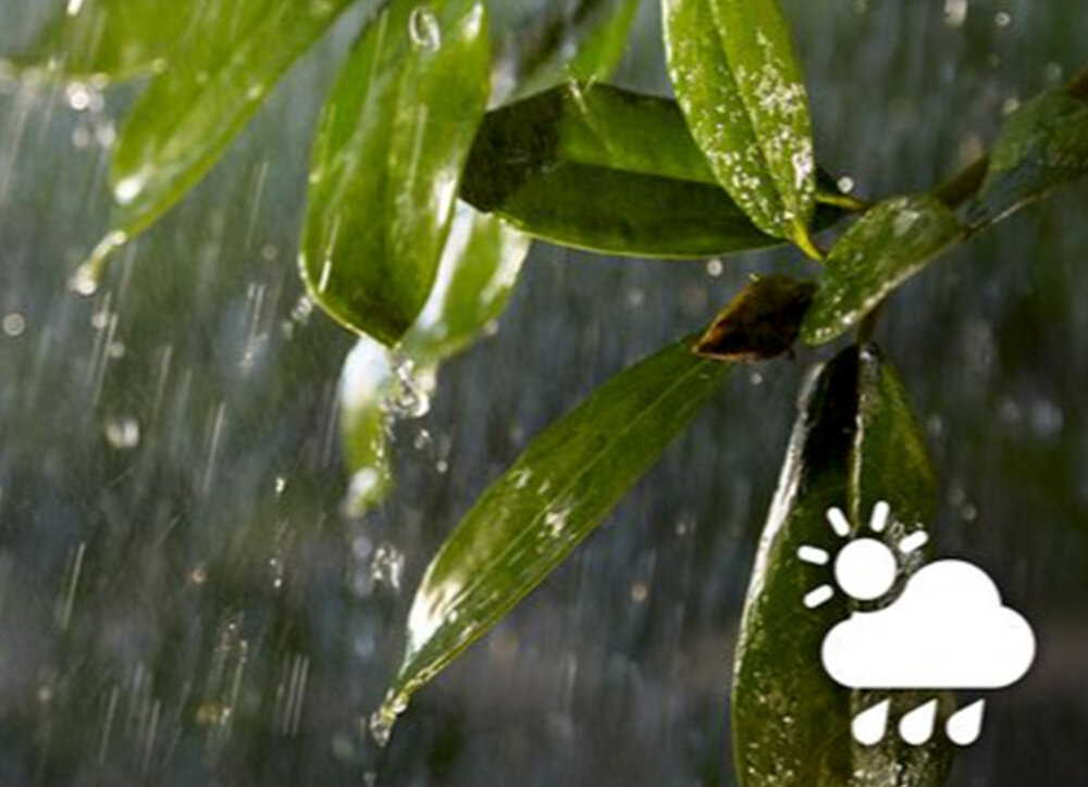 Taśma LED PHILIPS HUE 929002289002 2 m stopień ochrony IP67 w pełni wodoszczelna