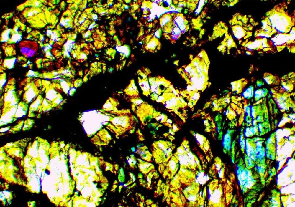 Mikroskop Delta Optical Genetic Pro Trino materiały