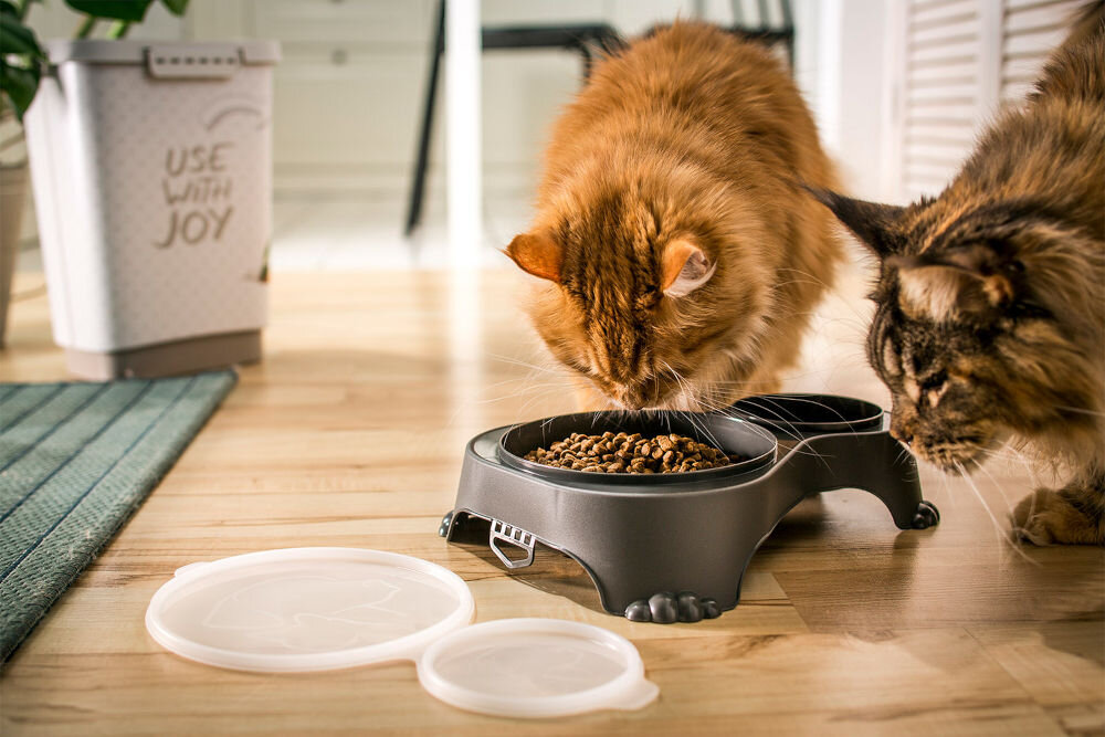 Podwójna miska dla psa 4000908086WS z pokrywką i antypoślizgową podstawą bezpieczny plastik do karmienia i transportu