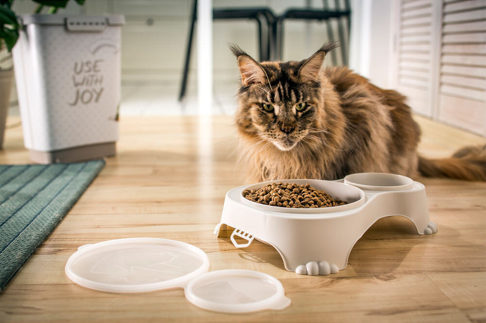 Podwójna miska dla psa 4000908086WS z pokrywką dwa pojemniki 1l i 0,28l hermetyczne zamknięcie do karmienia i podróży