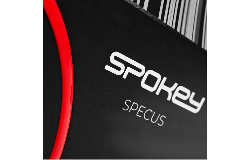 Rower magnetyczny SPOKEY Specus