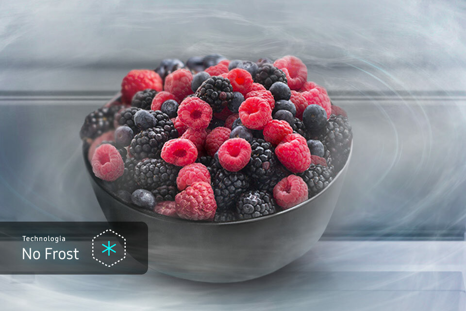 No Frost Lodówka bez szronu i lodu  No Frost Lodówka bez szronu i lodu
