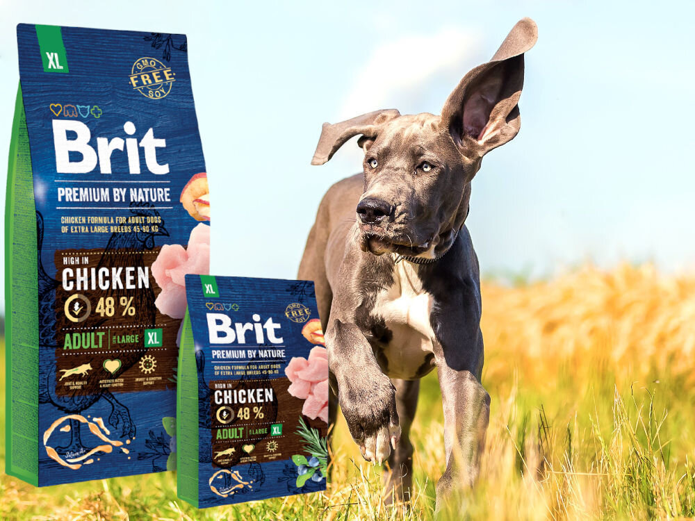 Karma dla psa BRIT Premium By Nature Kurczak 3 kg zdrowie mobilnosc odpornosc kondycja