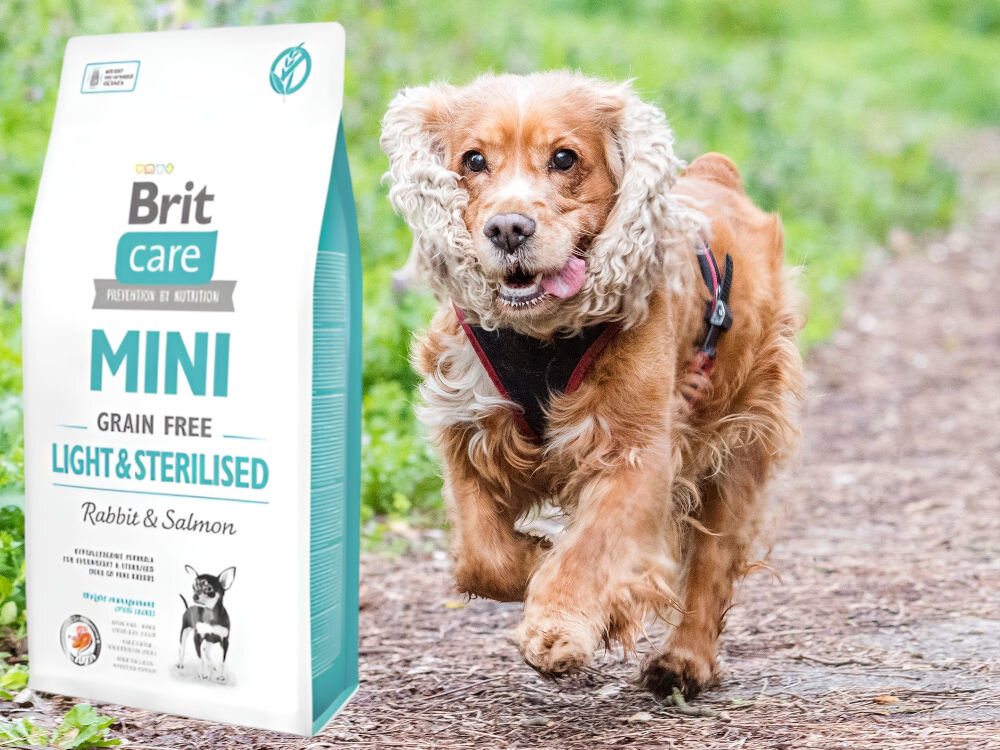 Karma dla psa BRIT Care Mini Light & Sterilised Królik z łososiem 2 kg witaminy zdrowie