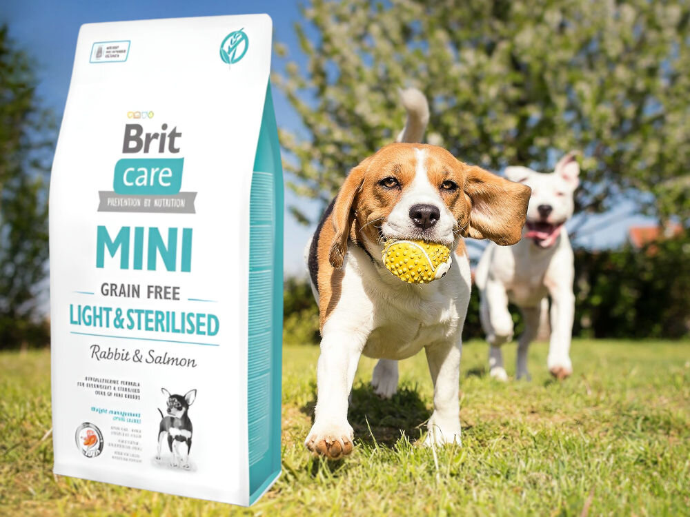 Karma dla psa BRIT Care Mini Light & Sterilised Królik z łososiem 2 kg sklad zywienie